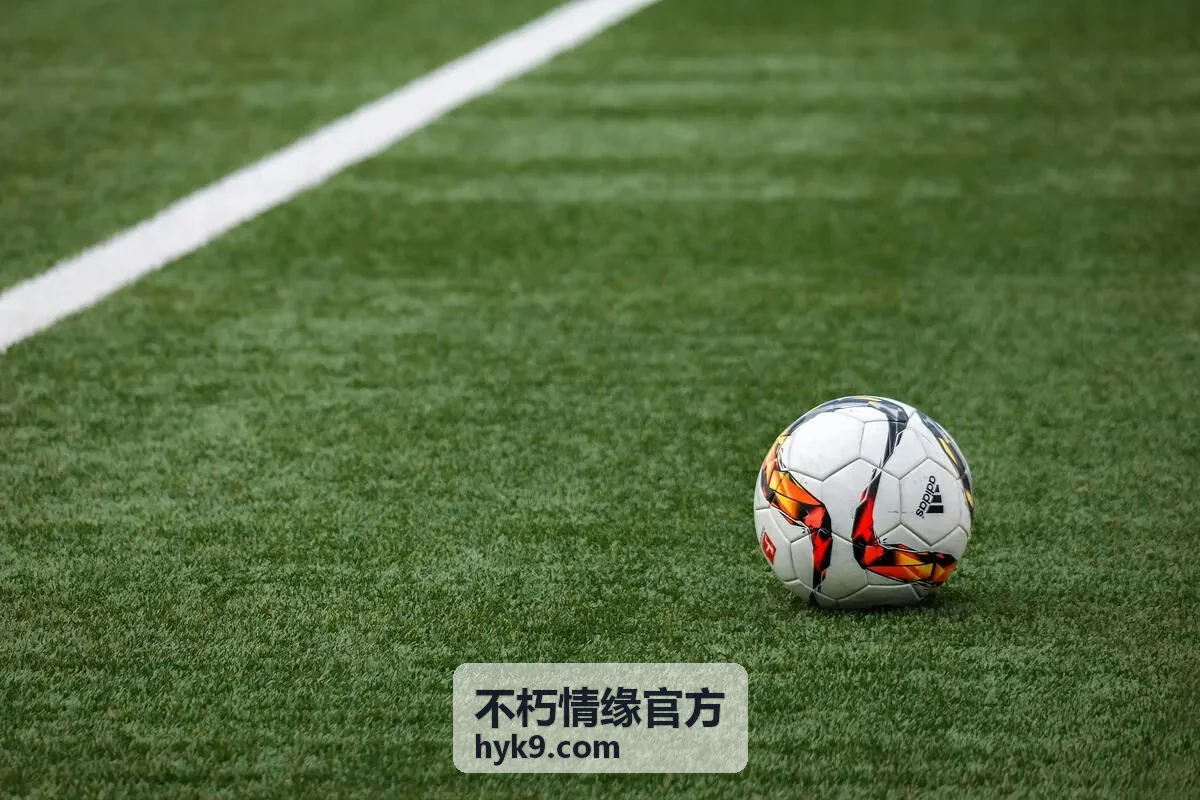 不朽情缘官方样稿确认与成品交付阶段的纪念册与礼盒